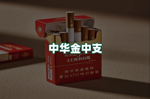 中华金中支